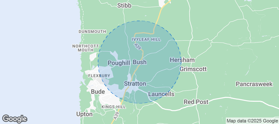Discover Bush Airbnb Analytics